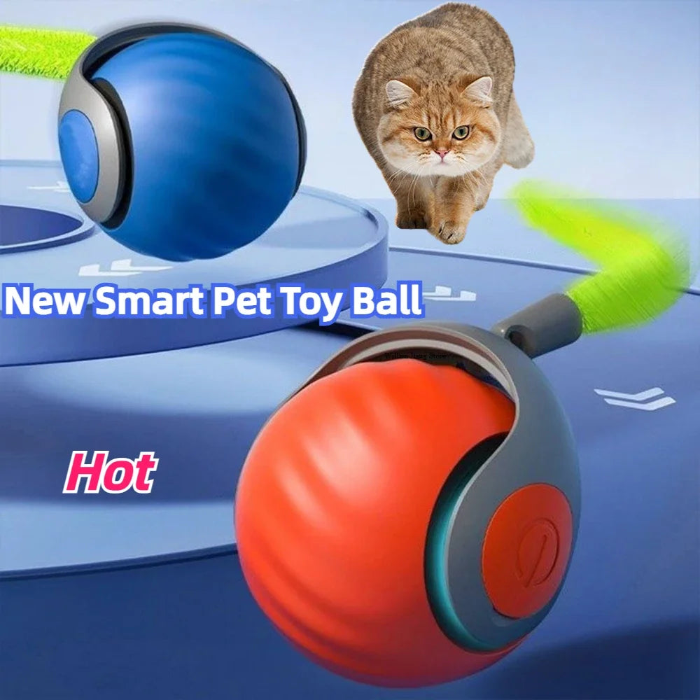 2024 New Interactive Cat Toy Ball Small Tail Rolling Ball Suitable for Indoor and Outdoor Cat and Dog Play Toys for Cats Things