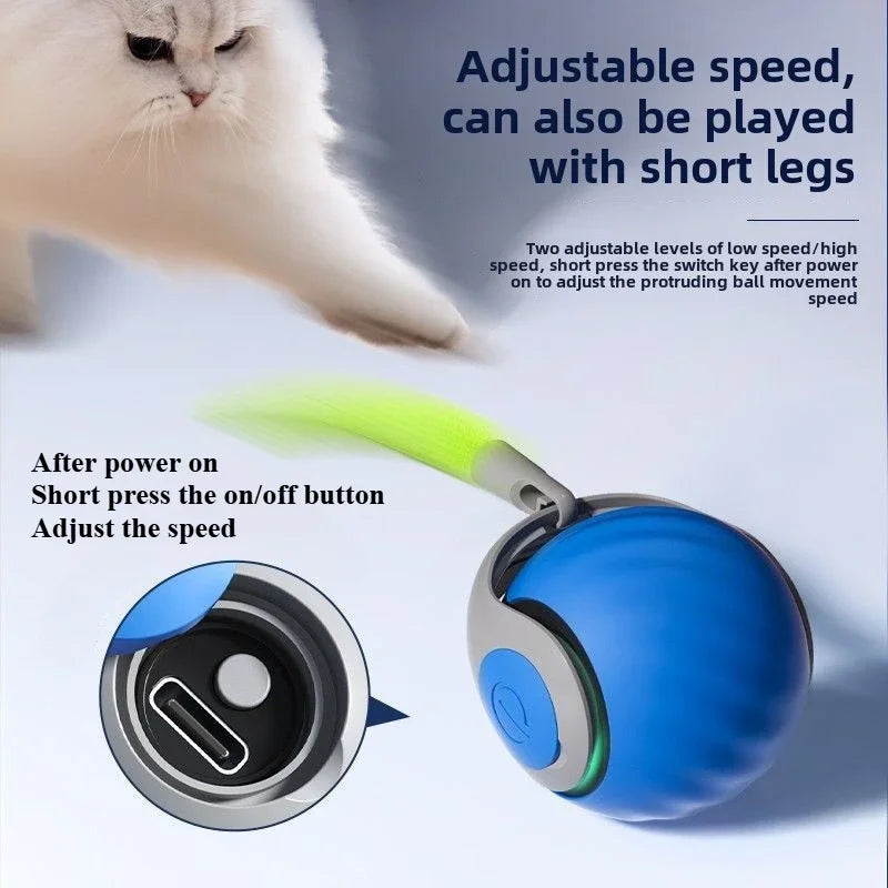 2024 New Interactive Cat Toy Ball Small Tail Rolling Ball Suitable for Indoor and Outdoor Cat and Dog Play Toys for Cats Things